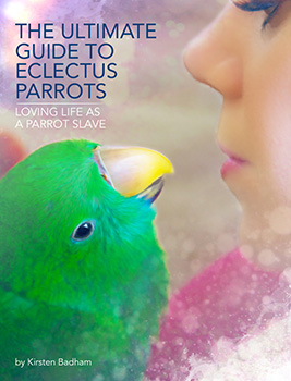 Eclectus Parrot Book