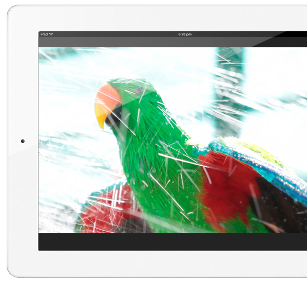 Guide to Eclectus parrots available on the iPad